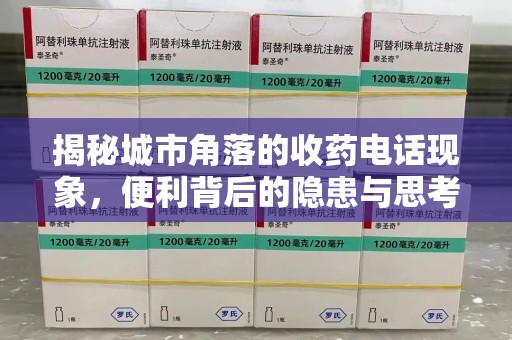 哈尔滨揭秘城市角落的收药电话现象，便利背后的隐患与思考