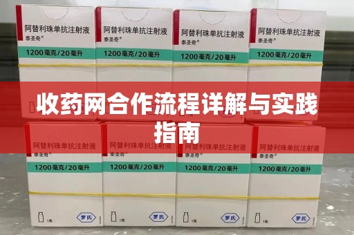哈尔滨收药网合作流程详解与实践指南
