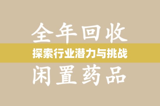 哈尔滨探索行业潜力与挑战