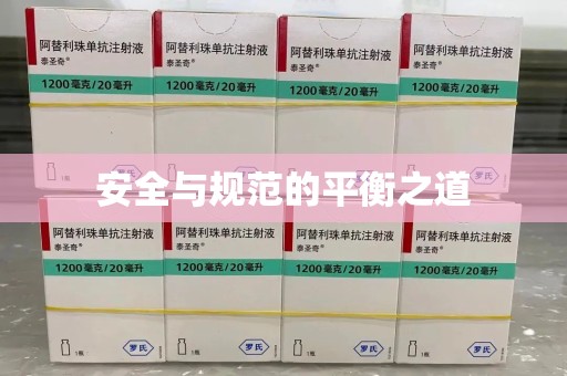 哈尔滨安全与规范的平衡之道