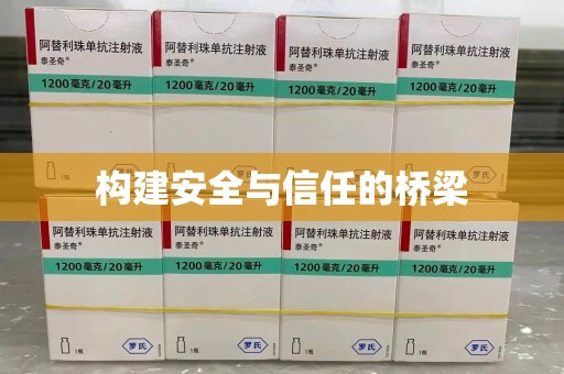哈尔滨构建安全与信任的桥梁