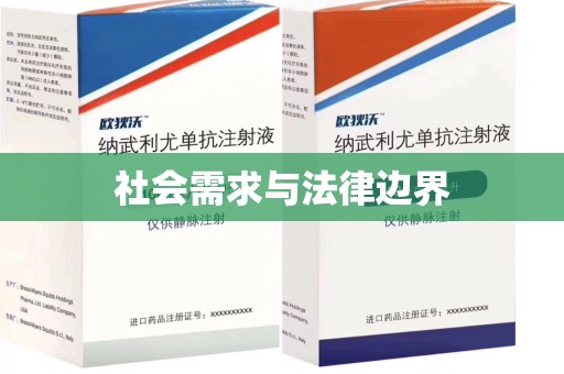 哈尔滨社会需求与法律边界