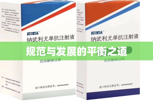 哈尔滨规范与发展的平衡之道