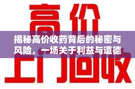 哈尔滨揭秘高价收药背后的秘密与风险，一场关于利益与道德的博弈